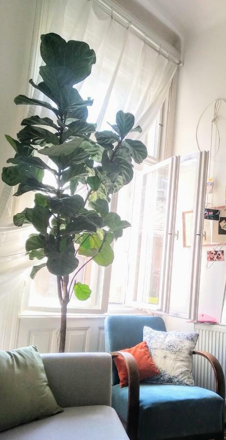 Jolie Apartment In Historical Center Boedapest Buitenkant foto